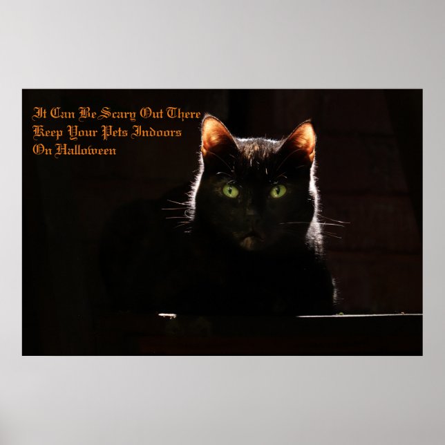 Póster Mantener a sus Mascotas adentro (Frente)