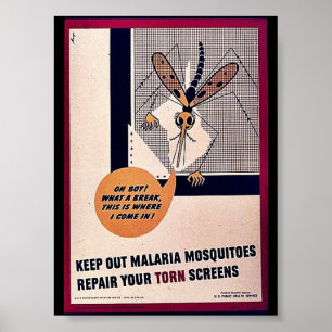 Póster Mantener fuera los mosquitos de la malaria reparan
