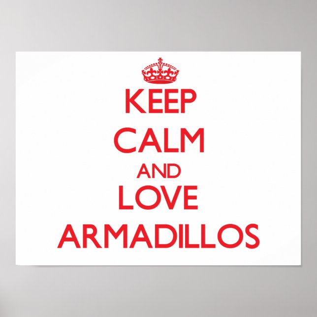 Póster Mantener la calma y amar a los Armadillos (Frente)