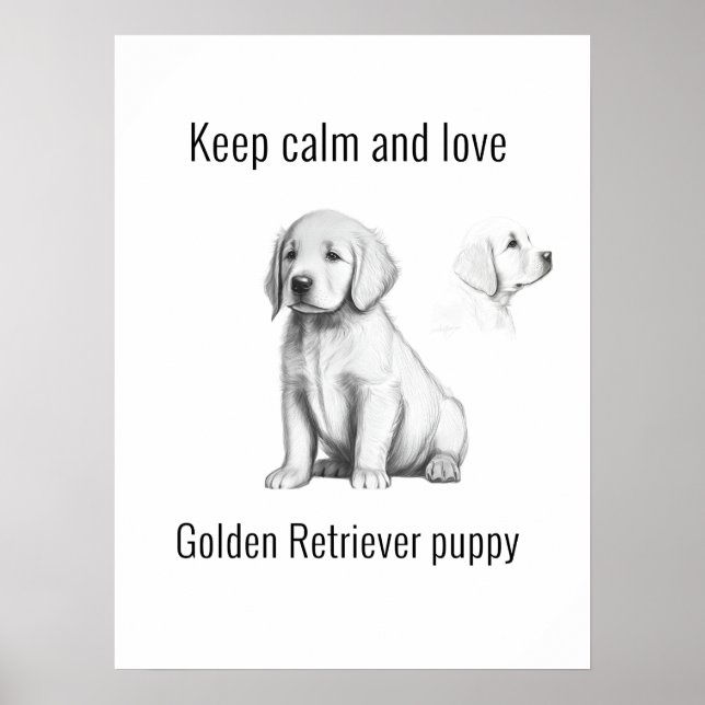 Póster Mantener la calma y amar el cachorro Golden Retrie (Frente)
