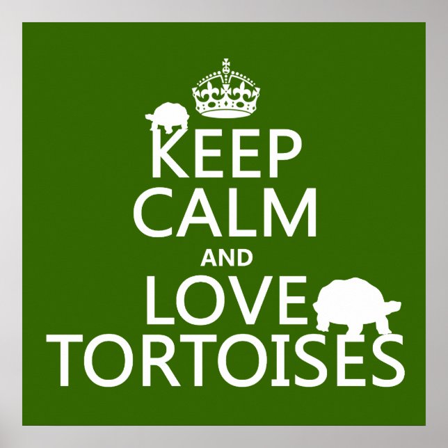 Póster Mantener la calma y amar las tortugas (cualquier c (Frente)