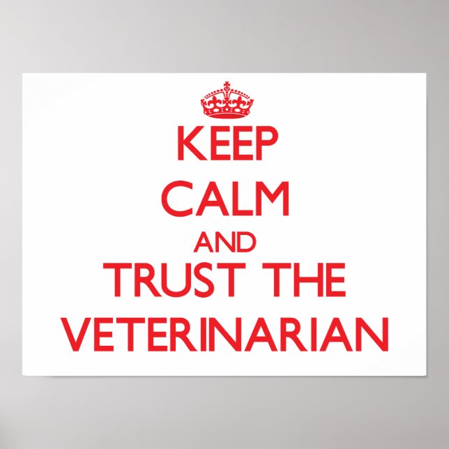 Póster Mantener la calma y confiar en el veterinario (Frente)