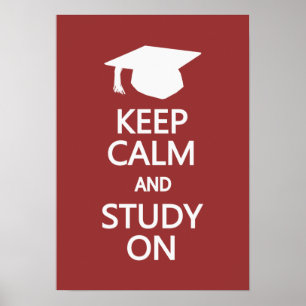 Póster Mantener La Calma Y El Estudio En poster personali