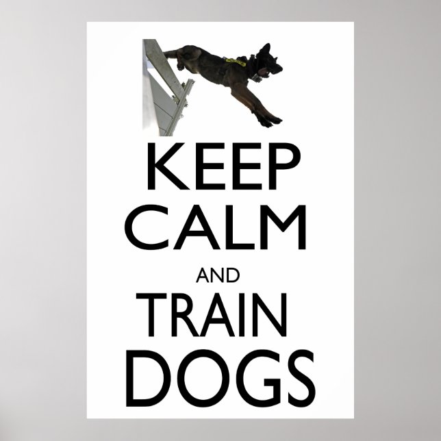 Póster Mantener la calma y entrenar perros (Frente)