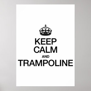 PÓSTER MANTENER LA CALMA Y LA TRAMPOLÍTICA