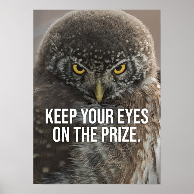 Póster Mantener Los Ojos En El Premio - Motivación Animal (Frente)