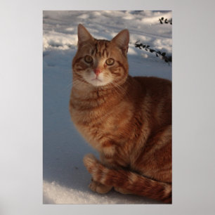 Póster Manteniendo el calor