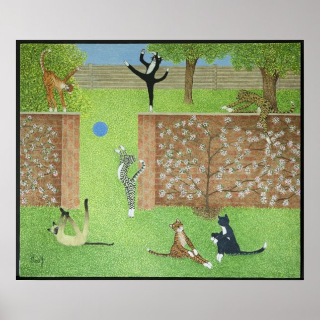 Póster Manteniéndose en los dedos de los pies (Frente)