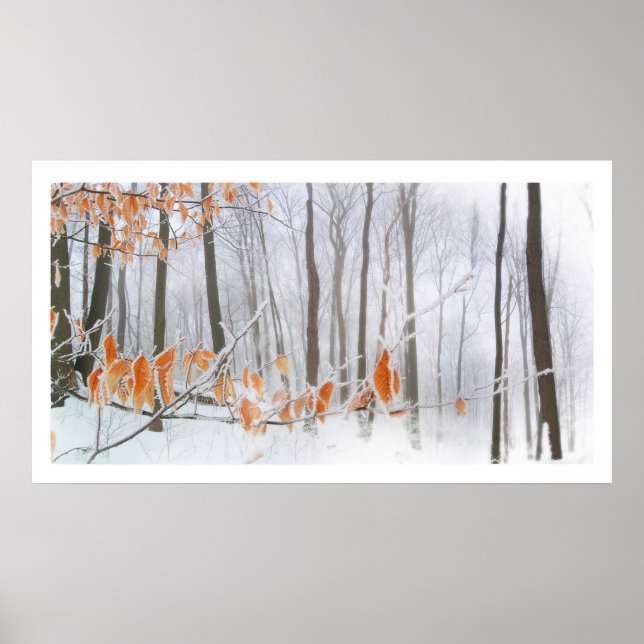 Póster Manteniéndose, poster (Frente)