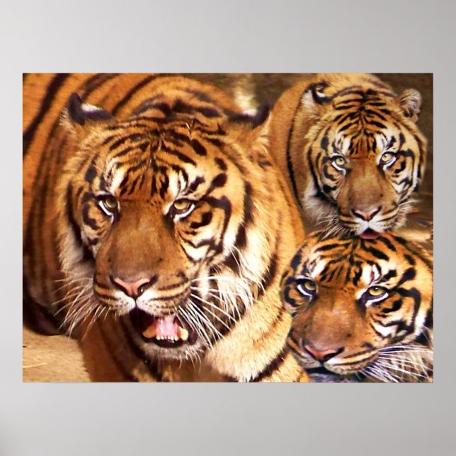 Póster Mantente fuerte_ Poster (Frente)