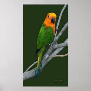 Póster Mantequillas X