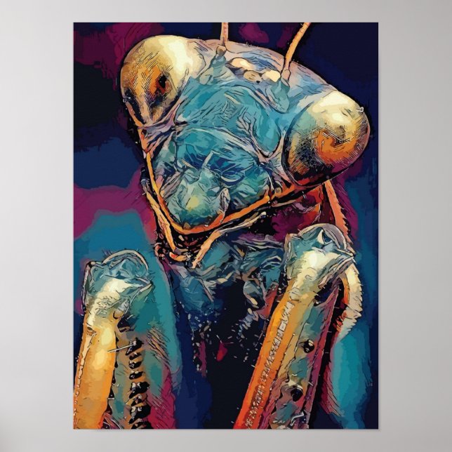 Póster mantis de oración mantisinsecs ojosMantis Orquídea (Frente)