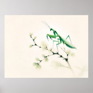 Póster Mantis de tinta china en Ginkgo