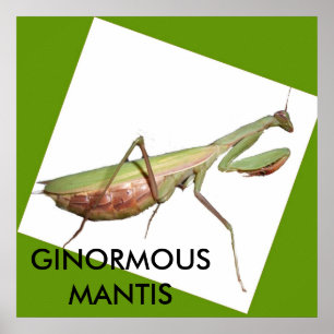 PÓSTER MANTIS GIGANTE