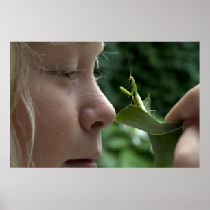 Póster Mantis religiosa