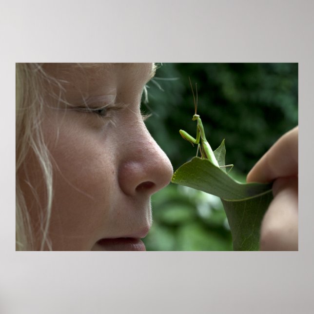 Póster Mantis religiosa (Frente)