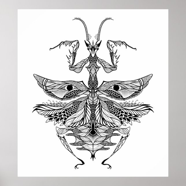 Póster Mantis religiosa inspirada 2 (Frente)
