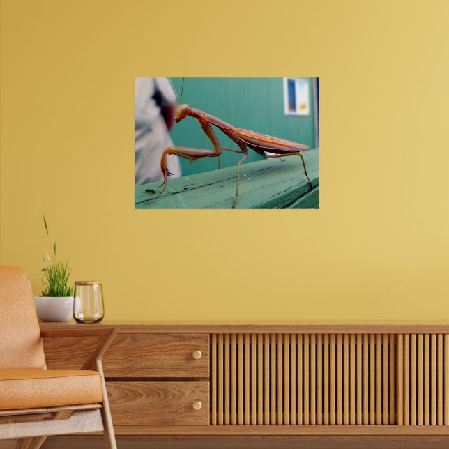 Póster Mantis religiosa y hormiga (Salón 2)