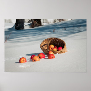 Póster Manzanas en la nieve