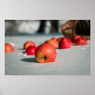 Póster Manzanas en la nieve