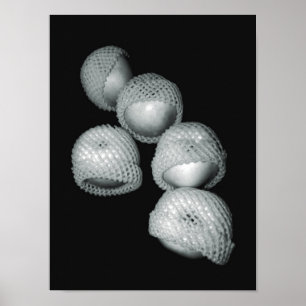 Póster Manzanas en pañales