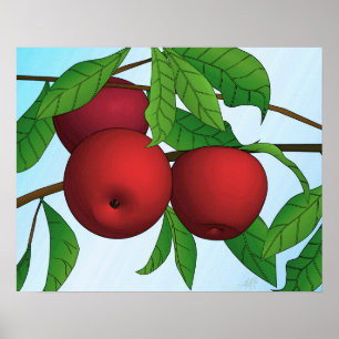 Póster "Manzanas en una rama" impreso con borde