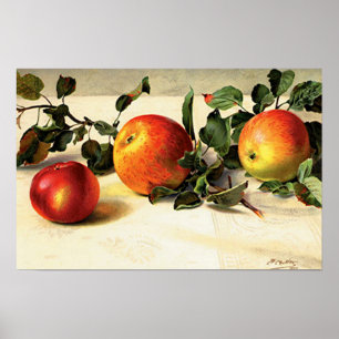 Póster Manzanas lúcidas