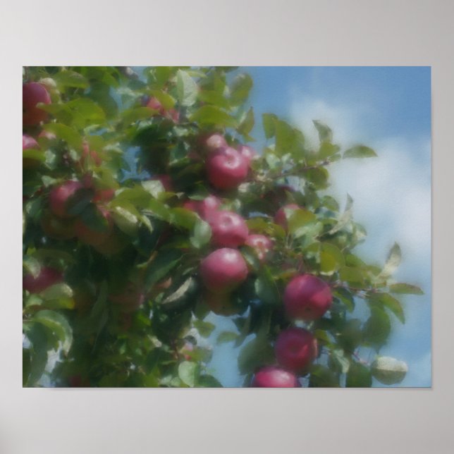 Póster Manzanas rojas en pintura fotográfica de árbol (Frente)
