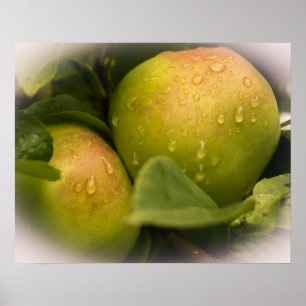 Póster Manzanas verdes frescas con un borde oxidado