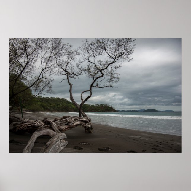 Póster Manzanillo (Frente)