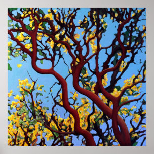 Póster Manzanita en otoño