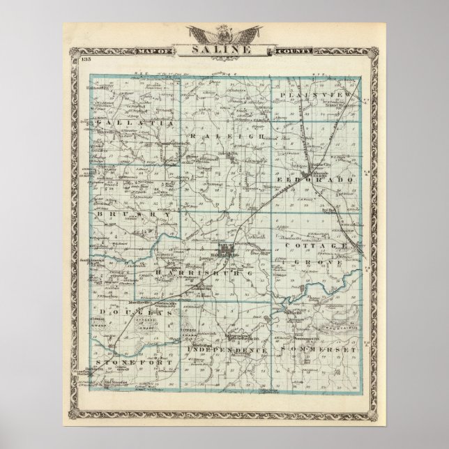 Póster Map of Saline County (Frente)