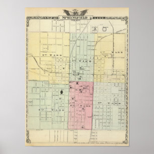Póster Map of Springfield City