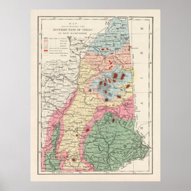 Póster Mapa antiguo de especies de árboles de New Hampshi (Frente)