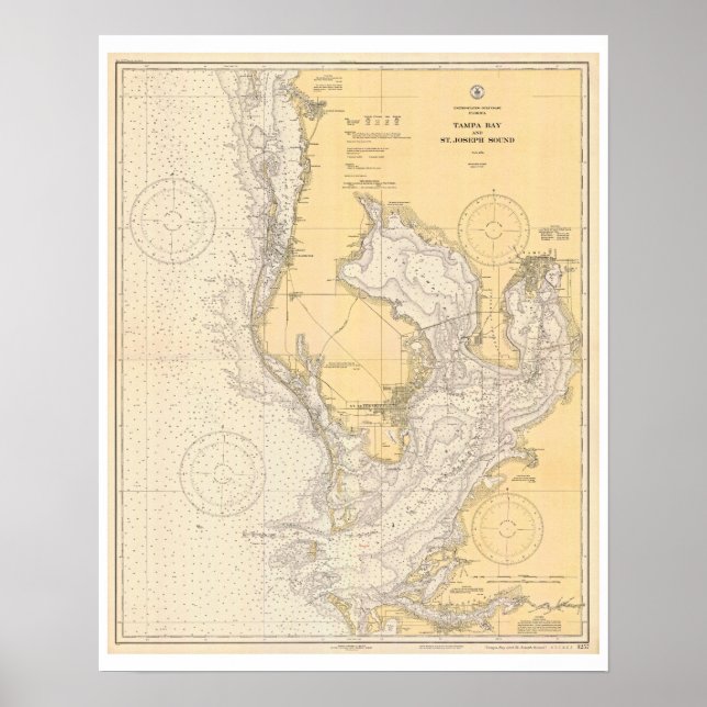 Póster Mapa antiguo de la Bahía de Tampa Florida (Frente)