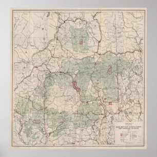 Póster Mapa blanco del bosque del Estado de las montañas