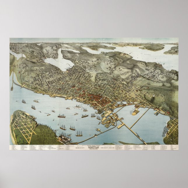 Póster Mapa de aves de Seattle - 1891 (Koch) BigMapBlog (Frente)