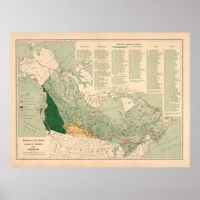 Póster Mapa de bosques de Canadá de época (1906) (Frente)