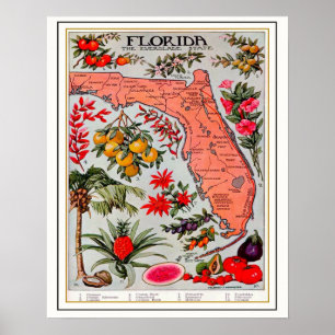 Póster Mapa de Bounty 16x20 en Florida