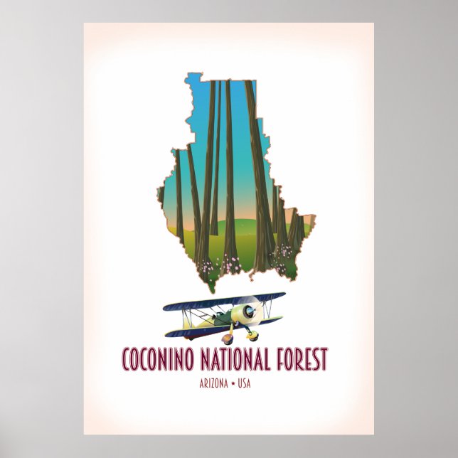 Póster Mapa de Coconino National Forest Arizona USA (Frente)