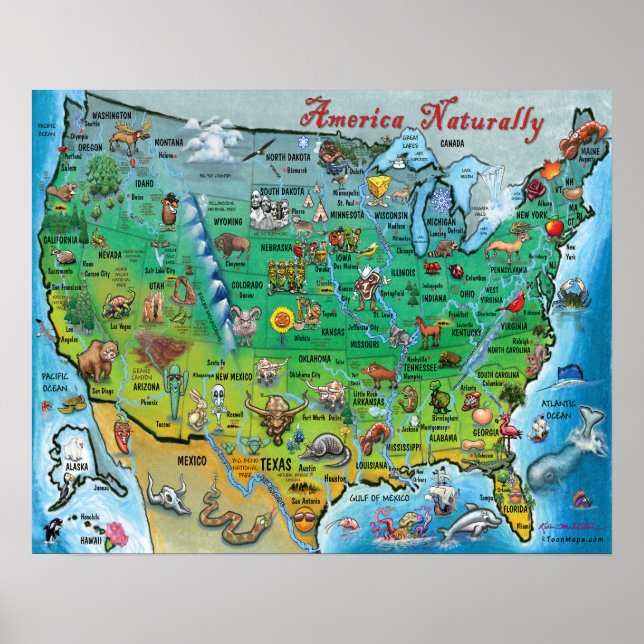 Póster Mapa de diversiones naturales de Estados Unidos (Frente)