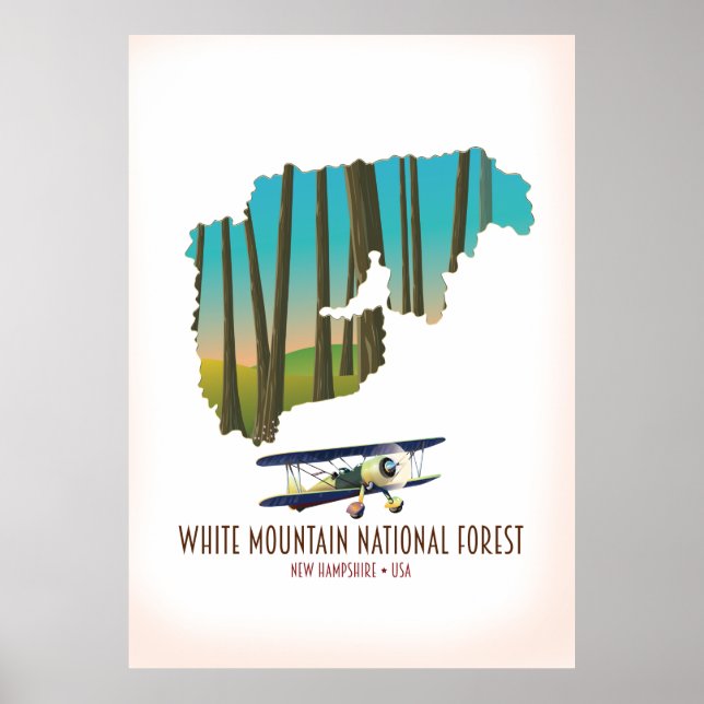 Póster Mapa de EEUU del bosque nacional de las montañas b (Frente)