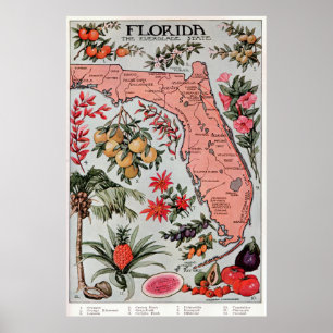 Póster Mapa de época de Florida (1917)