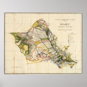 Póster Mapa de época de Oahu Hawaii (1906)