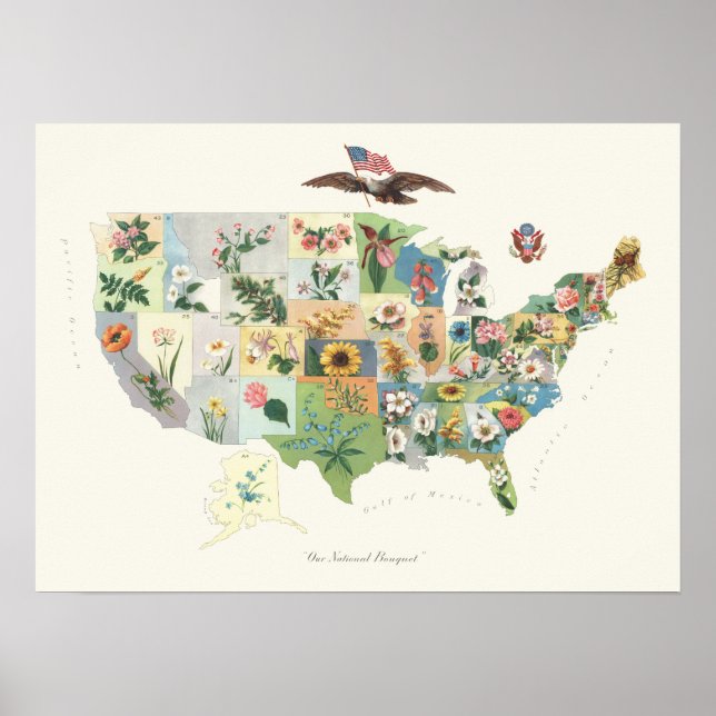 Póster Mapa de Flores de Estados Unidos - Nuestro Bouquet (Frente)
