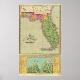 Póster Mapa de Florida