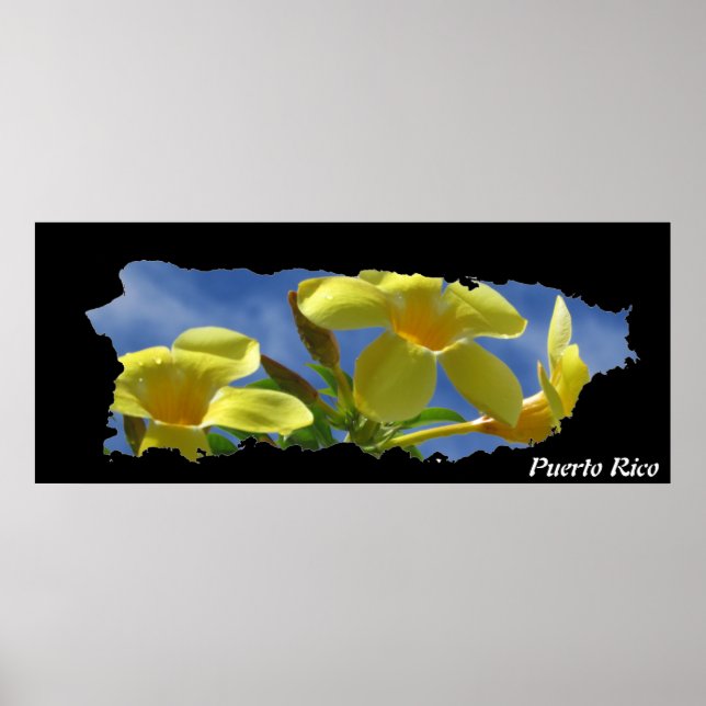 Póster Mapa de la isla de las flores amarillas de Puerto  (Frente)