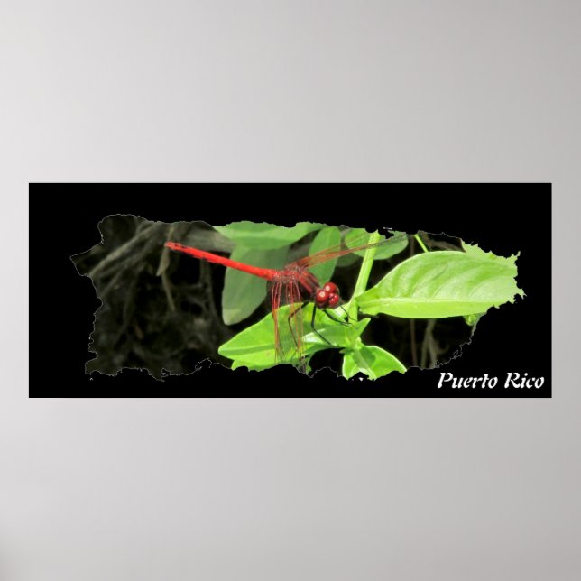 Póster Mapa de la isla de Puerto Rico (Frente)