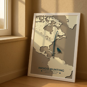 Póster Mapa de la migración de indigo Bunting - Vintage M