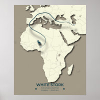 Mapa de la migración de la cigüeña blanca - Bir Mi